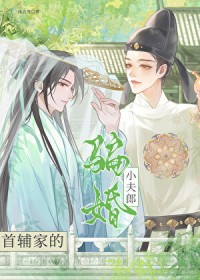 首辅家的骗婚小夫郎作者信息